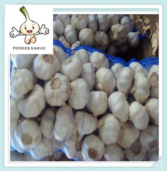 Buy cheap fresh high quality natural garlic for sale quality china agriculture food from wholesalers