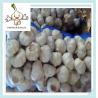 Buy cheap fresh high quality natural garlic for sale quality china agriculture food from wholesalers