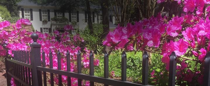 Tubular 7ftx8ft Ornamental Metal Fence Panels Fadeless
