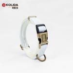 Custom Canvas Fashion Dog Collar And Leash Set For Dogs Customerized
