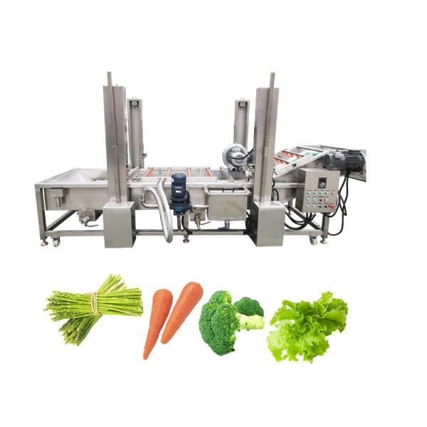 Buy cheap 380v/220v/Customizable Cassava Bubble Washing Machine for Washing Fruit Vegetable from wholesalers