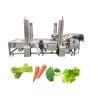 Buy cheap Water Saving Vegetable Seed Cleaning Peeling Machine 2500*1200*1300mm for Fruit Washing from wholesalers