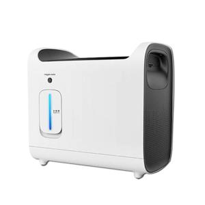 China 1Lpm Oxigen Generator Electric Oxygen Concentrator Concentrador Oxigeno Smart on sale