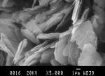 Top Grade Expandable Graphite Powder With High Strength