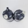 Buy cheap Fleetguard FS1098 Fuel Water Separator Filter 5319680 5523768 from wholesalers