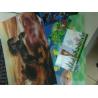 Buy cheap Good price 3D animal picture animation 3D lenticular animal photo promotional gift PET lenticular cards flip 3D picture from wholesalers