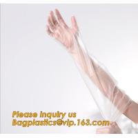 Buy cheap Biodegradable Pe Plastic Disposable Clean Gloves,Wholesale sanitary recyclable product