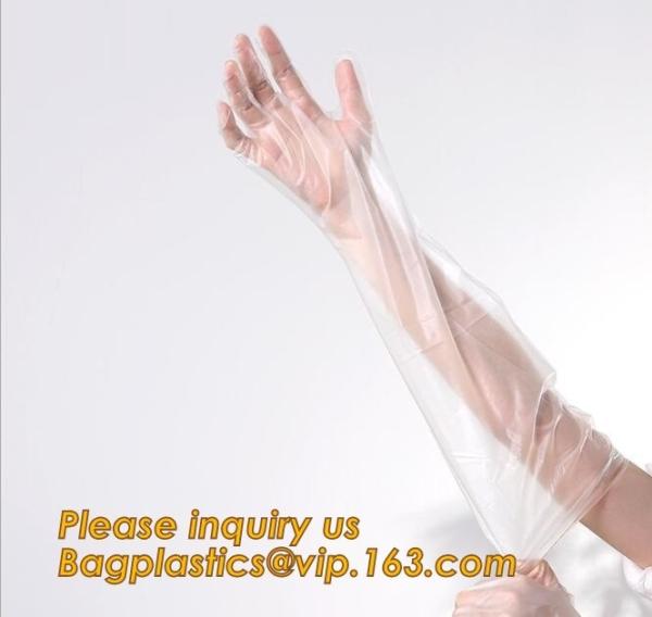Biodegradable Pe Plastic Disposable Clean Gloves,Wholesale sanitary recyclable