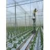 Buy cheap 100% PP Virgin Material Tomato Tying Rope Agricultural String from wholesalers