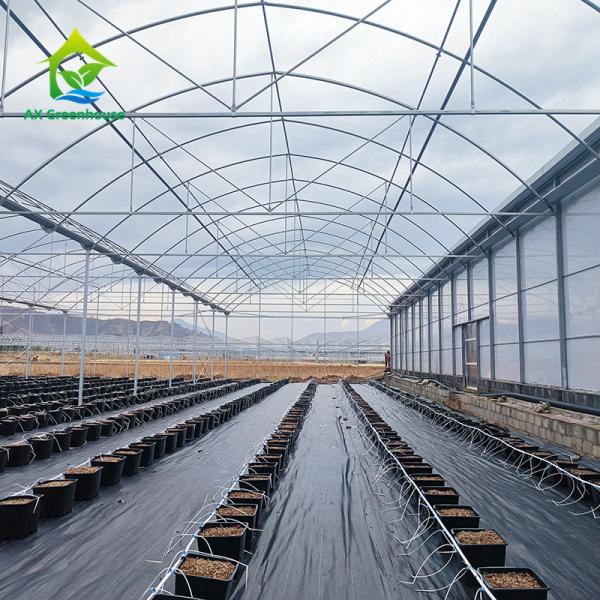 Buy cheap Customized Frame Plastic Film Agricultural Poly Tunnel Multi-span Greenhouse For Sale from wholesalers