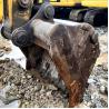 Buy cheap Used Excavators Hyundai 225 Excavator Second Hand Hyundai Cheap Price Excavator from wholesalers