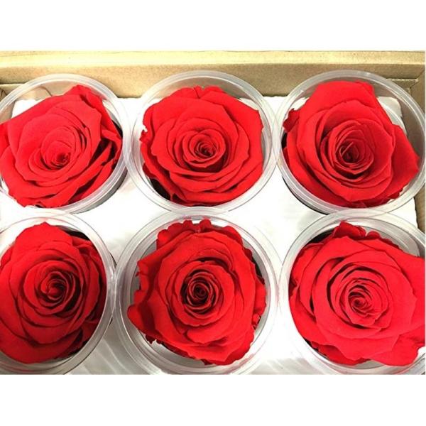 Buy cheap Ecuador preserved fresh roses long lasting high end rose buds for flower box gift from wholesalers