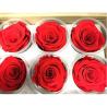 Buy cheap Ecuador preserved fresh roses long lasting high end rose buds for flower box gift from wholesalers