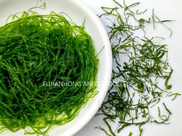 Buy cheap HACCP Gluten-Free Prolifera Seaweed Strips Natural Olive Green 180g Bag Adds Crunch To Ramen Salads from wholesalers