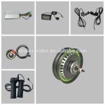 High Quality Powerful Lithium Battery 1000w Electric Motorcycle
