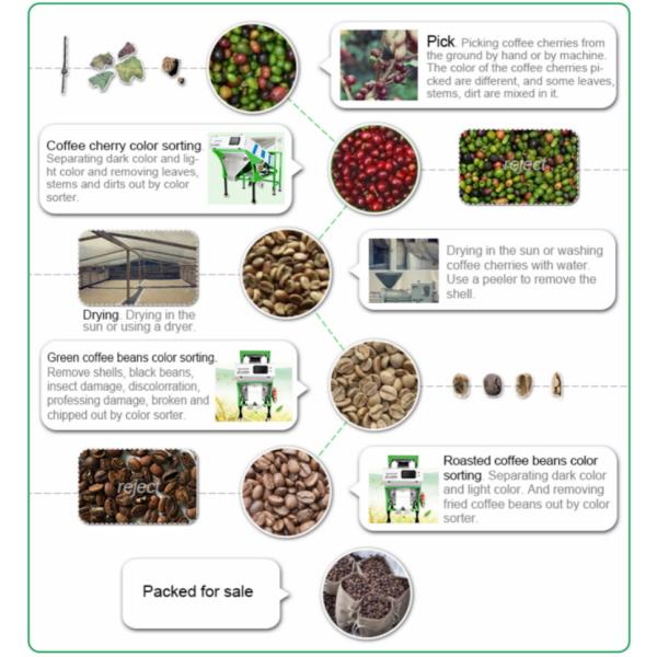Intelligent CCD Chutes Coffee Bean Color Sorting Machine Coffee Bean Color Sorter