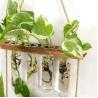 Buy cheap hot-selling Wall Hanging Planter 2 Tiered Plant Propagation Station With Wooden Stand & Glass Planter home decor from wholesalers