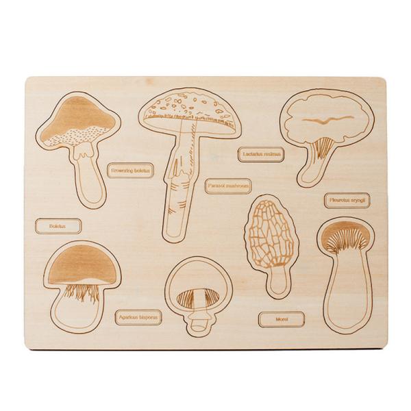 Buy cheap Montessori Toy wooden Mushroom Growth Cycle Puzzle &Wooden Dinosaur Puzzle from wholesalers