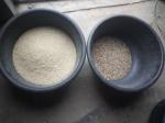 Wenyao Automatic Chute Style Color Separation Equipement Rice Color Sorter