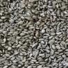 Buy cheap Samarium Iron Nitrogen SmFeN Magnet Compound Lightweight from wholesalers