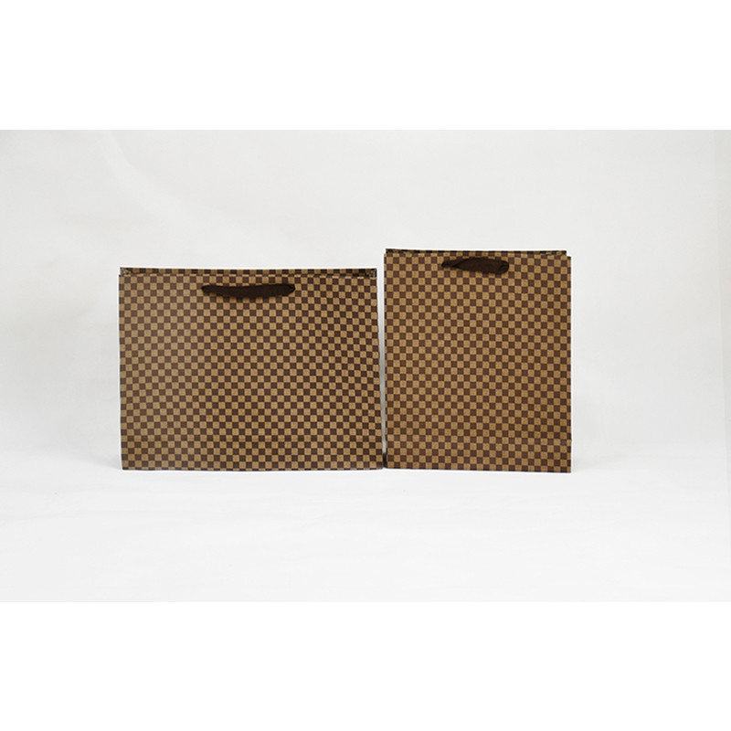 Lightweight Paper Garment Bag Customized Environmental Friendly