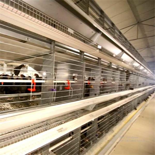 Buy cheap 3 Floors Metal Breeding Cages , Comfortable Mesh Wire Cage Space Saving from wholesalers