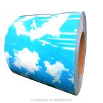 Color Coating Prepainted PPGL Galvanized Steel Coils 0.30mm PE Coated