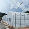 Buy cheap 6x15m Tunnel Greenhouse For Vegetable Cultivation With Easy Installation from wholesalers
