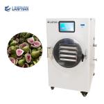 Avocado, Fig, Peach, Watermelon Stainless Steel Fruit Dryer Machine Vacuum Dryer
