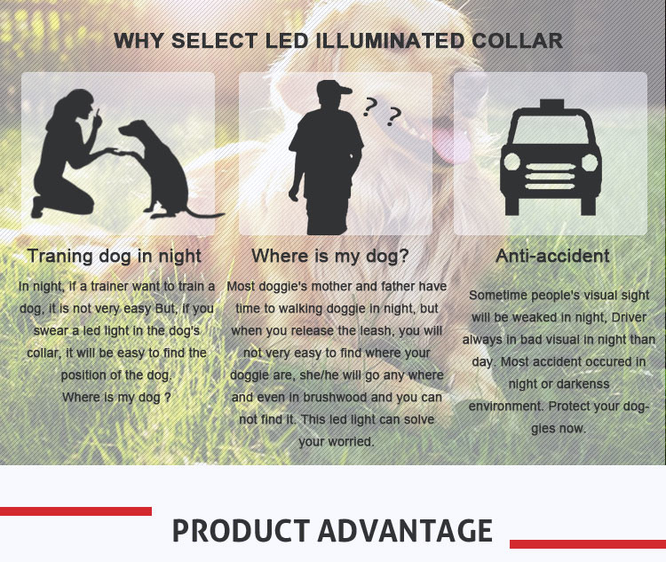 Pet Nylon Luminous Fluorescent LED Dog Collar Leashed in Dark Size S / M / L