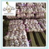 Buy cheap Fresh normal White garlic 10kg packing China natural garlic price product