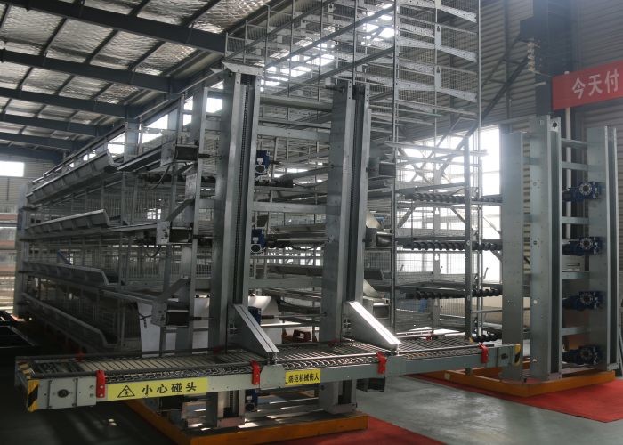 High Efficiency Poultry Layer Cage Poultry Control Shed Farm Equipment