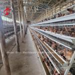 Semi Automatic H Type Battery Cage System For Layers Sandy