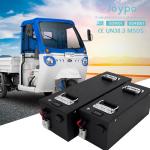 48V 200ah Lifepo4 Battery for Three Wheeled Vehicles Built-in BMS Protection