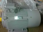 Ms Series Three Phase Asynchronous Motor 0.55kw-15kw AC Induction Electric Motor
