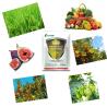 Buy cheap Agricultural Rice Wheat Pesticides 50% Pymetrozine WP Planthopper Aphid Control from wholesalers