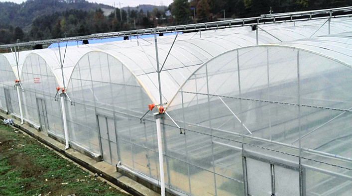 Climate Adjustable Plastic Film Greenhouse Heat Resisting Anti Freezing Moisture Proof