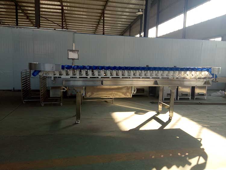 Fruit Vegetable Avocado Grader Grading Machine Weight Sorter Machine Commercial