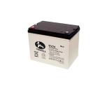 20HR 70AH Valve Regulated EV Lead Acid Batteries 259*168*210mm Golf Cart
