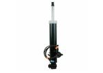 37106875087 37106875088 Air Suspension Shock Absorber For BMW X5 X6 X5M X6M F15