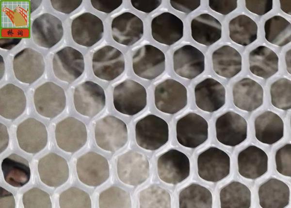 Buy cheap Hexagonal Plaining 13mm Extruded Plastic Netting from wholesalers