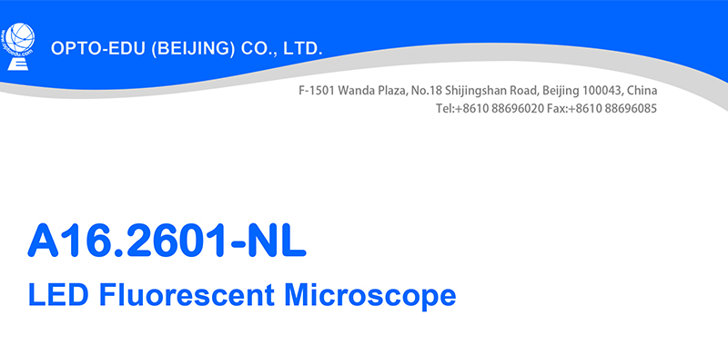 A16.2601-NL Fluorescence Microscopy 3W LED Illumination Systems For Research / Learning