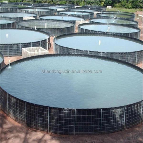 Black White Green Blue HDPE Geomembrane Sheet The Best Choice for Fish Farm Pond