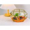 Buy cheap landscape glass artifact garden color stone succulent gold lamp decoration tabletop storage box jewelry box from wholesalers