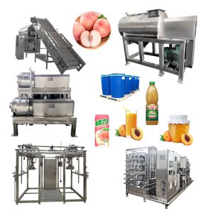 Industrial Pineapple Juice Processing Production Line Equipment Customized