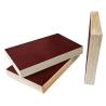 Buy cheap 18mm E1,E2,E0,WBP,melamine glue poplar core film faced plywood for construction from wholesalers