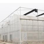 Galvanized Steel Frame Single Layer Film Greenhouse For Large Scale Commercial