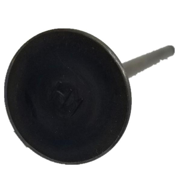 8 Cyl Stainless Steel Engine Valve RD TC Intake & Exhaust Valve 13201-97001