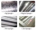Zinc Coated Galvanized Steel Coils 0.3mm Galvanized Rolled Coil Dx51d Z250/Z140