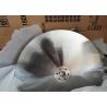 Buy cheap 480mm Dimension Gym Equipment Accessories CR Plating S45C Exercise Bike Wheel from wholesalers